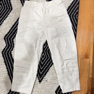 Everlane Utility Barrel Pant 28